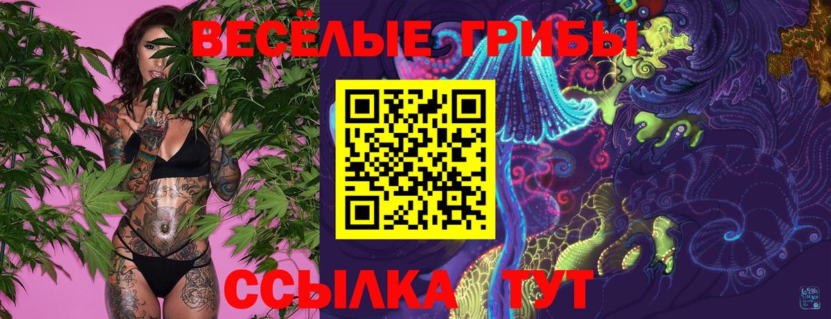 Галлюциногенные грибы Psilocybe  Вход с VPN  Псилоцибиновые грибы прущие грибы  Печора 
