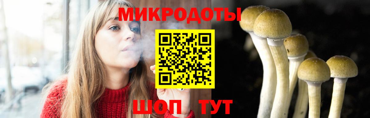 Галлюциногенные грибы Cubensis Печора